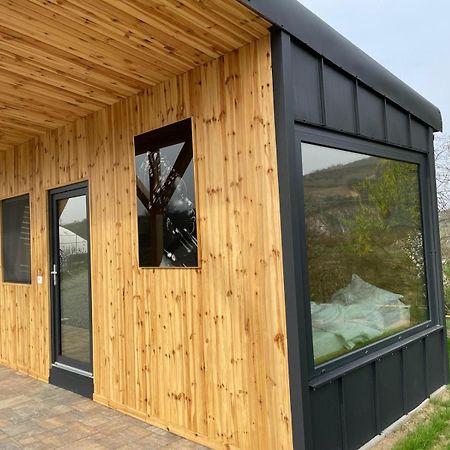 Kubiq Transalpina Villa Petresti Екстериор снимка