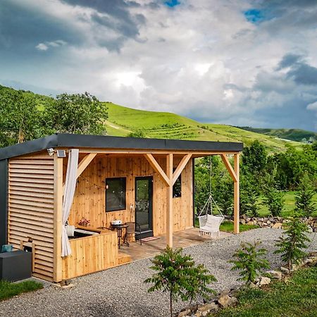 Kubiq Transalpina Villa Petresti Екстериор снимка